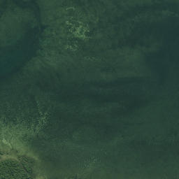 Satellite imagery of Te Pua Point, NZ