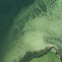 Satellite imagery of Te Pua Point, NZ