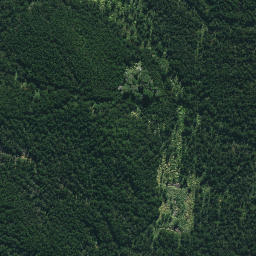 Satellite imagery of Whakakou Point, NZ