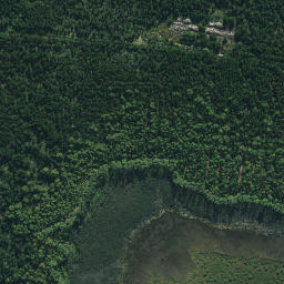 Satellite imagery of Whakakou Point, NZ
