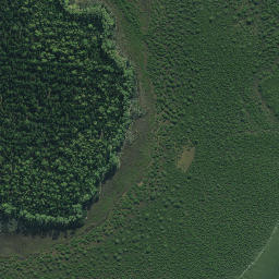 Satellite imagery of Whakakou Point, NZ