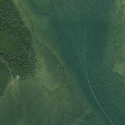 Satellite imagery of Whakakoro Point, NZ