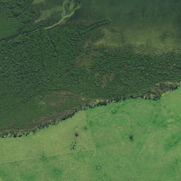 Satellite imagery of Te Pua Point, NZ