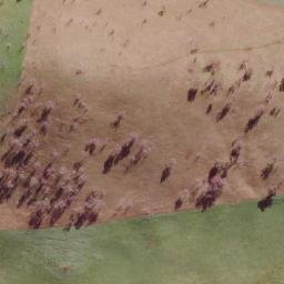 Satellite imagery of Morrisons Hill, AU
