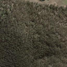 Satellite imagery of Forest, AU