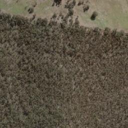 Satellite imagery of Forest, AU