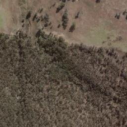 Satellite imagery of Forest, AU