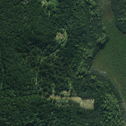 Satellite imagery of Kahuka Point, NZ