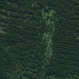 Satellite imagery of Whakakou Point, NZ