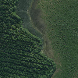 Satellite imagery of Whakakou Point, NZ