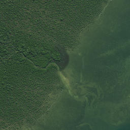 Satellite imagery of Whakakou Point, NZ