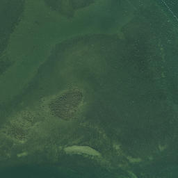 Satellite imagery of Whakakoro Point, NZ