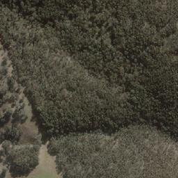 Satellite imagery of Forest, AU