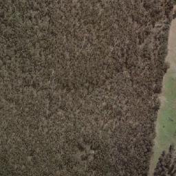 Satellite imagery of Forest, AU