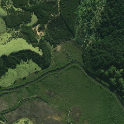 Satellite imagery of Pukewhau Point, NZ