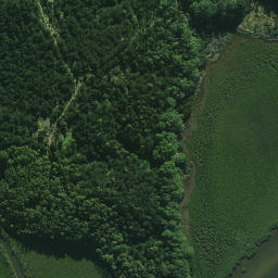 Satellite imagery of Pukewhau Point, NZ