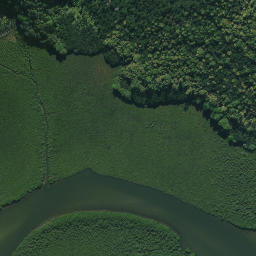 Satellite imagery of Pukewhau Point, NZ