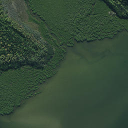 Satellite imagery of Kahuka Point, NZ