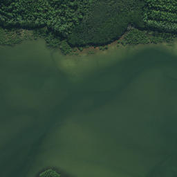 Satellite imagery of Whakakou Point, NZ
