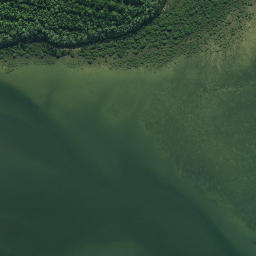 Satellite imagery of Whakakou Point, NZ