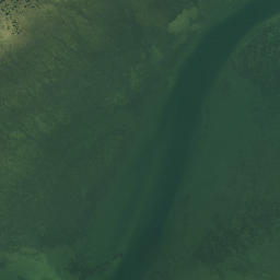 Satellite imagery of Whakakou Point, NZ