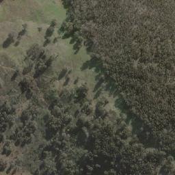 Satellite imagery of Forest, AU