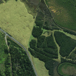 Satellite imagery of Pukewhau Point, NZ