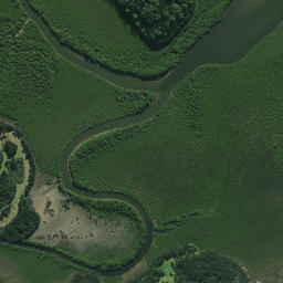 Satellite imagery of Pukewhau Point, NZ