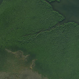 Satellite imagery of Pukewhau Point, NZ