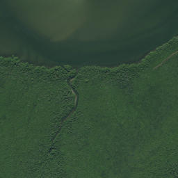 Satellite imagery of Emauha Point, NZ