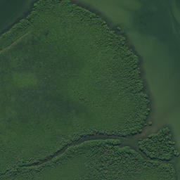 Satellite imagery of Kahuka Point, NZ