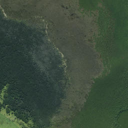 Satellite imagery of Pukewhau Point, NZ