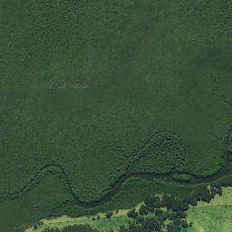 Satellite imagery of Emauha Point, NZ