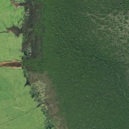 Satellite imagery of Ngataiparirua Point, NZ