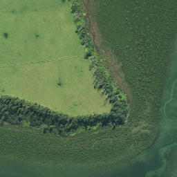 Satellite imagery of Ngataiparirua Point, NZ