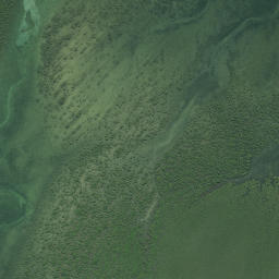 Satellite imagery of Oriatou Point, NZ
