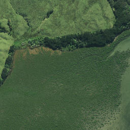 Satellite imagery of Te Mingia Point, NZ