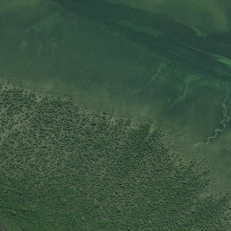 Satellite imagery of Te Mingia Point, NZ