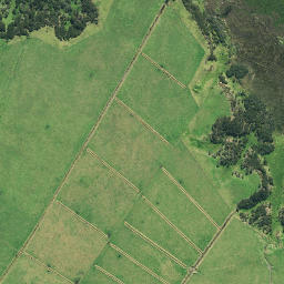 Satellite imagery of Weraroa Point, NZ