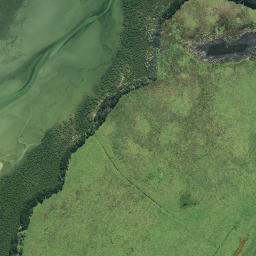 Satellite imagery of Te Mingia Point, NZ