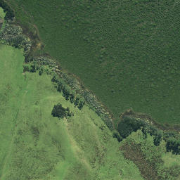 Satellite imagery of Te Mingia Point, NZ