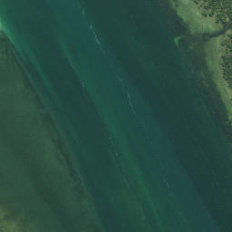 Satellite imagery of Tiawhakangari Point, NZ