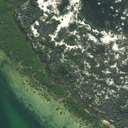 Satellite imagery of Tiawhakangari Point, NZ
