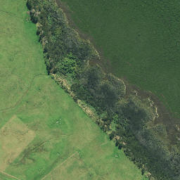 Satellite imagery of Tiawhakangari Point, NZ