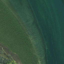 Satellite imagery of Tiawhakangari Point, NZ