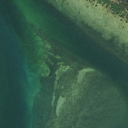Satellite imagery of Tiawhakangari Point, NZ