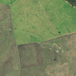 Satellite imagery of Tiawhakangari Point, NZ