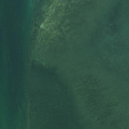 Satellite imagery of Tiawhakangari Point, NZ