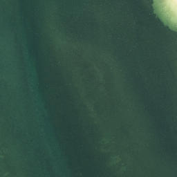 Satellite imagery of Taraere Point, NZ