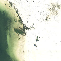 Satellite imagery of Taraere Point, NZ